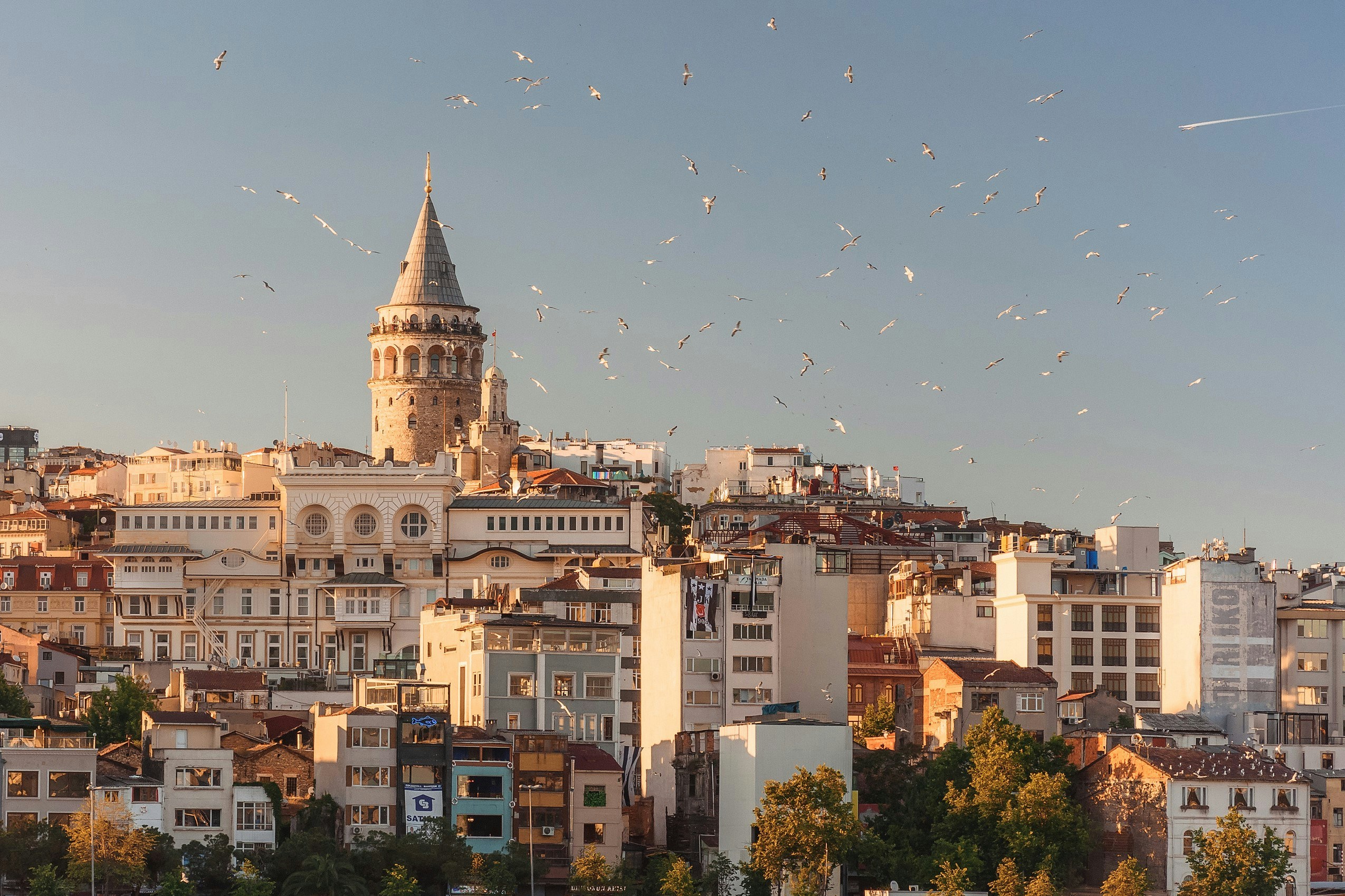 Turkey city line sky line with buildings and birds flying overhead
