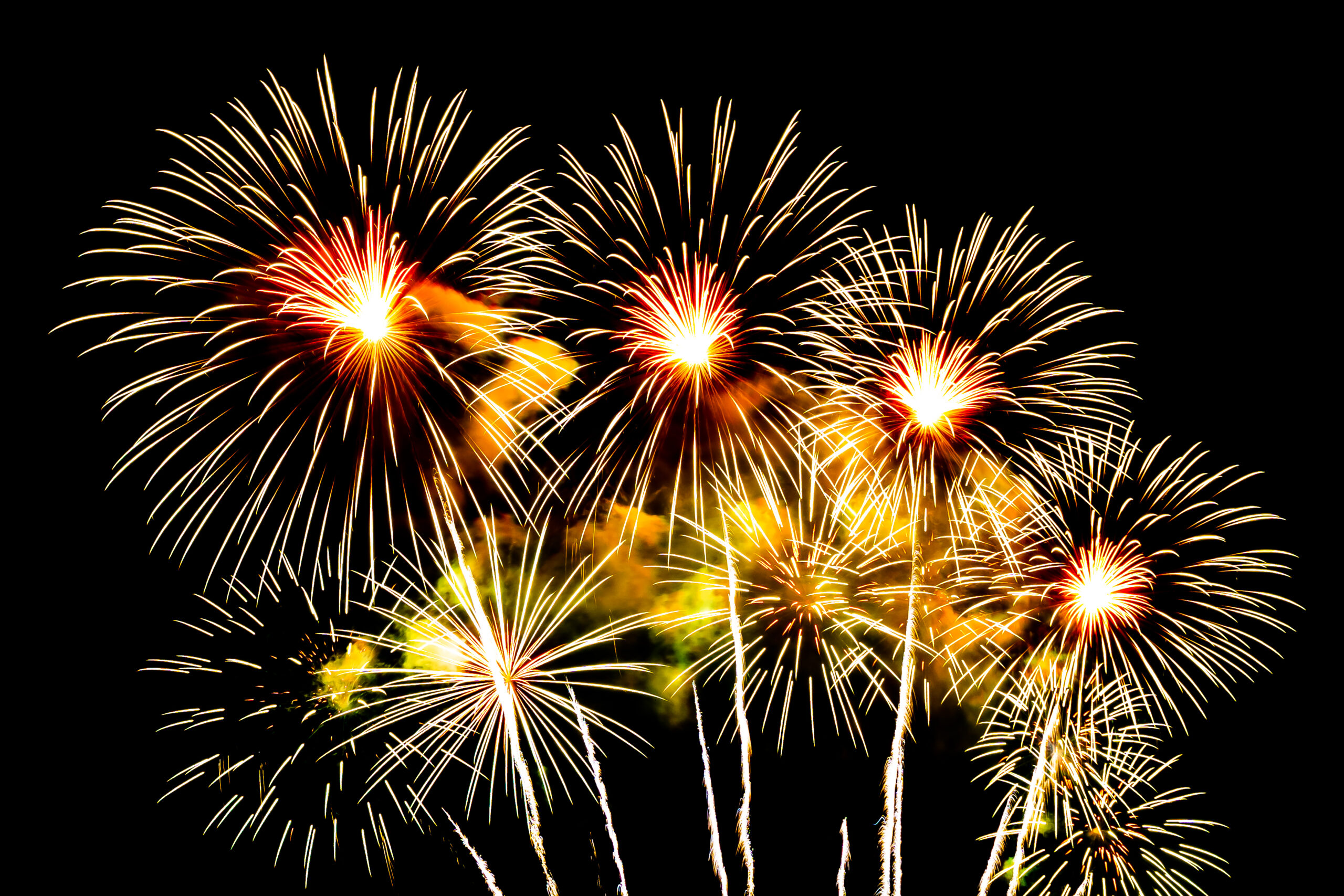 Fireworks in the night sky