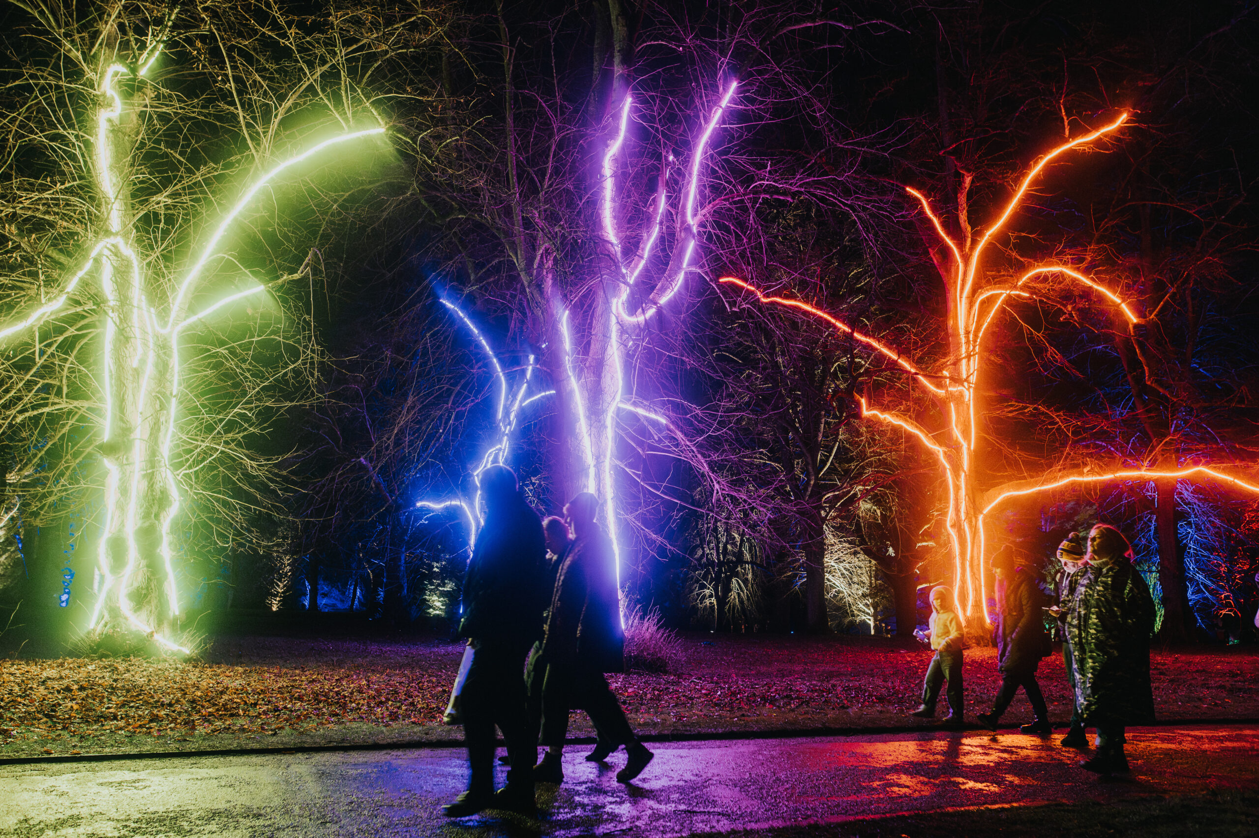 Chelsea Winter Village & Illuminations