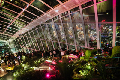 The view at Sky Garden London at New Years Eve