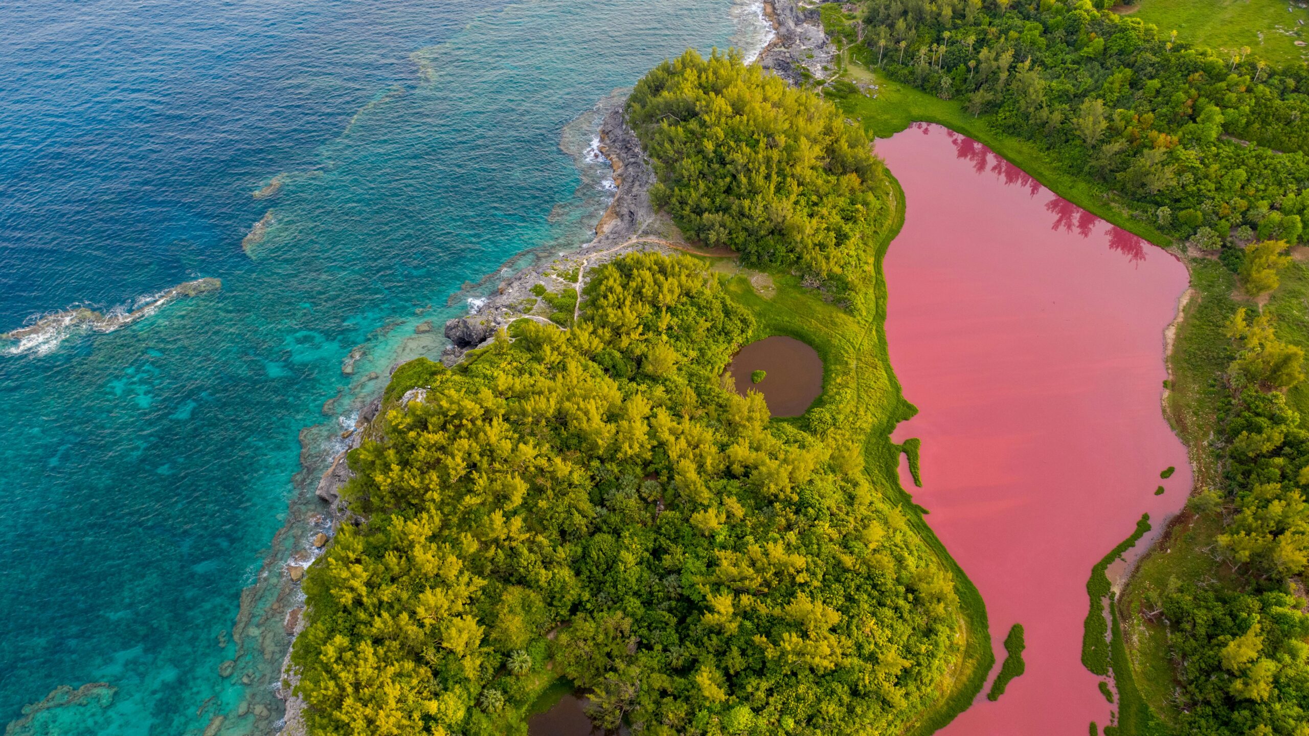 Pink sand beach in Bermuda