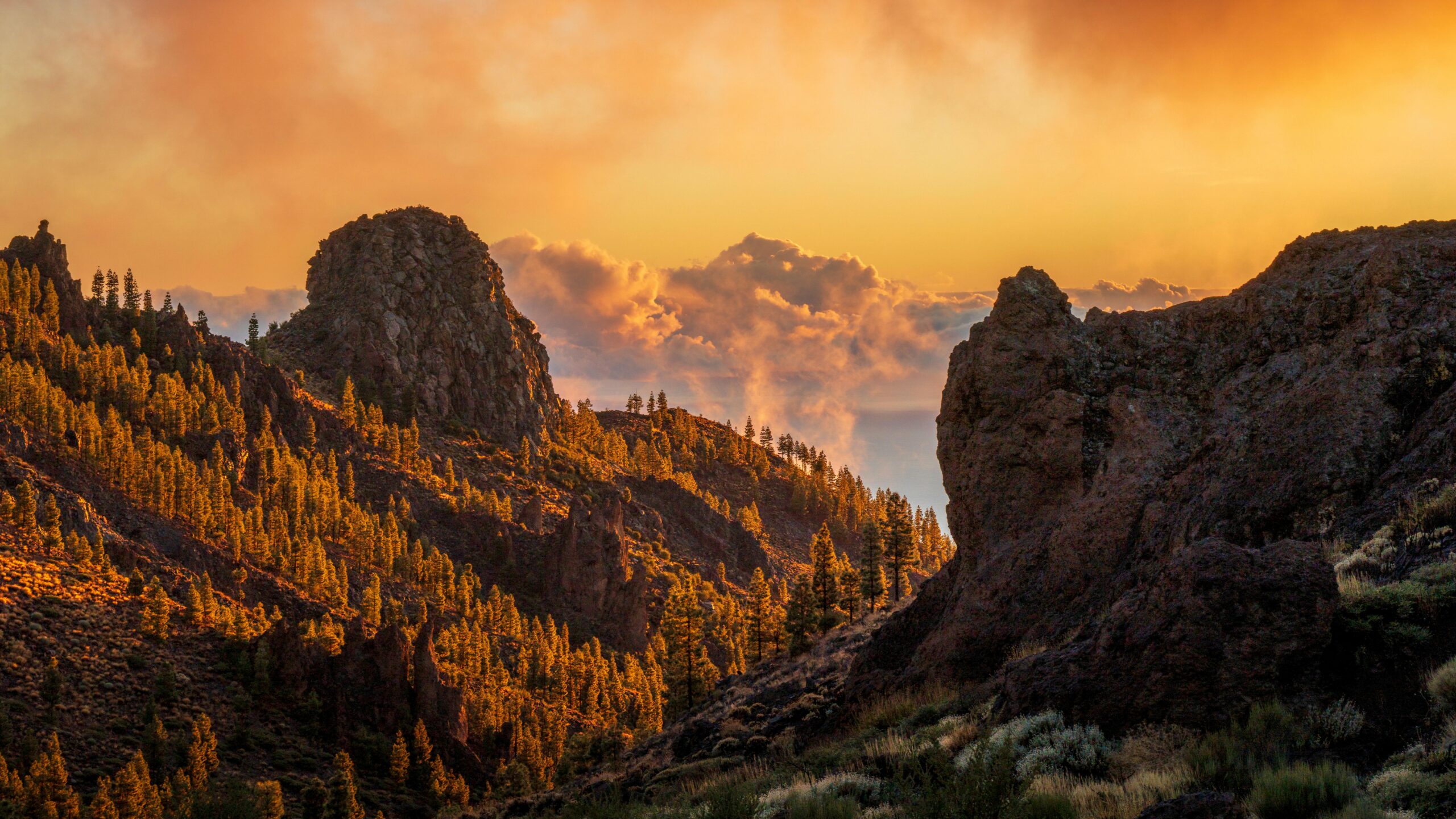 La Palma mountain range