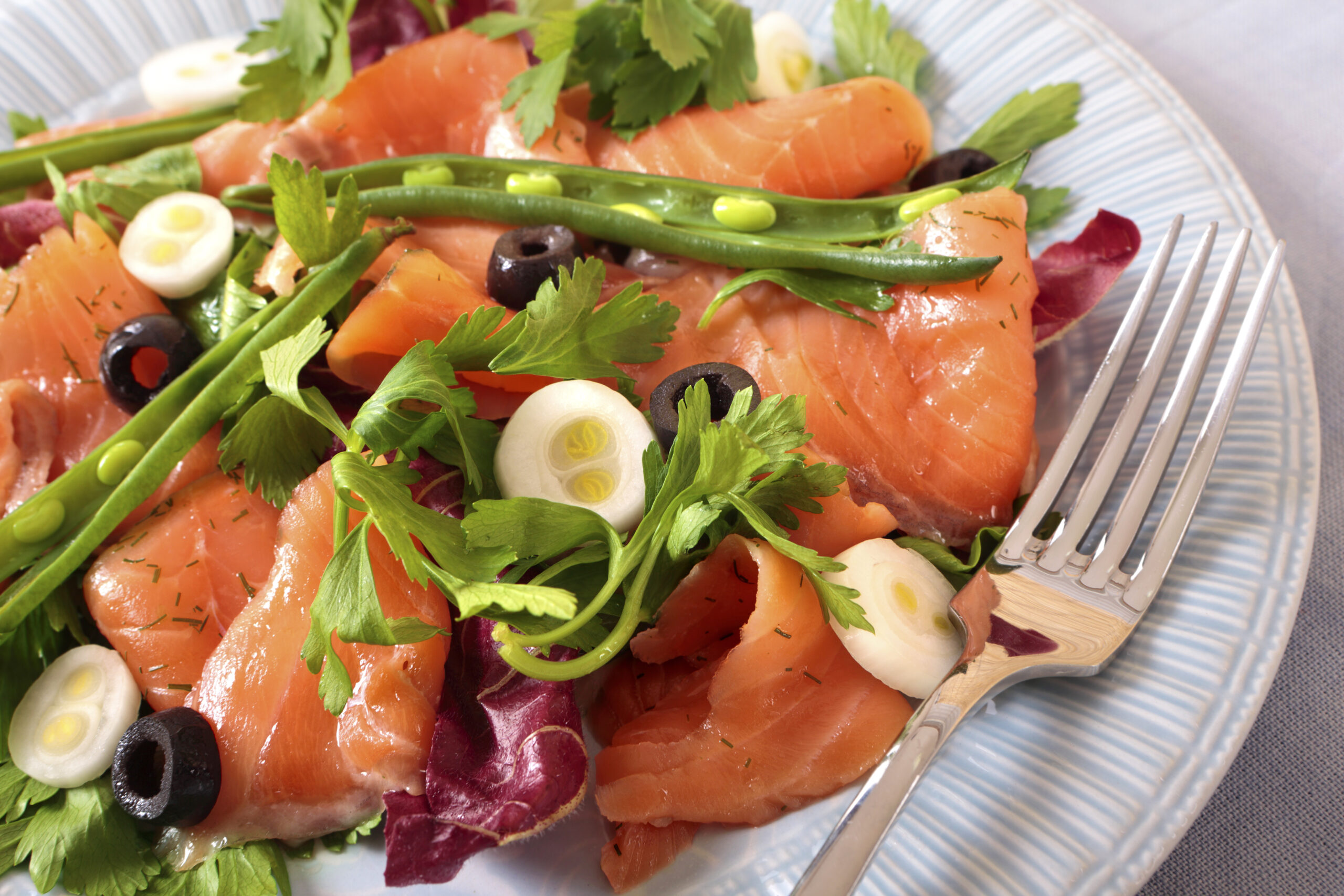 Salmon salad