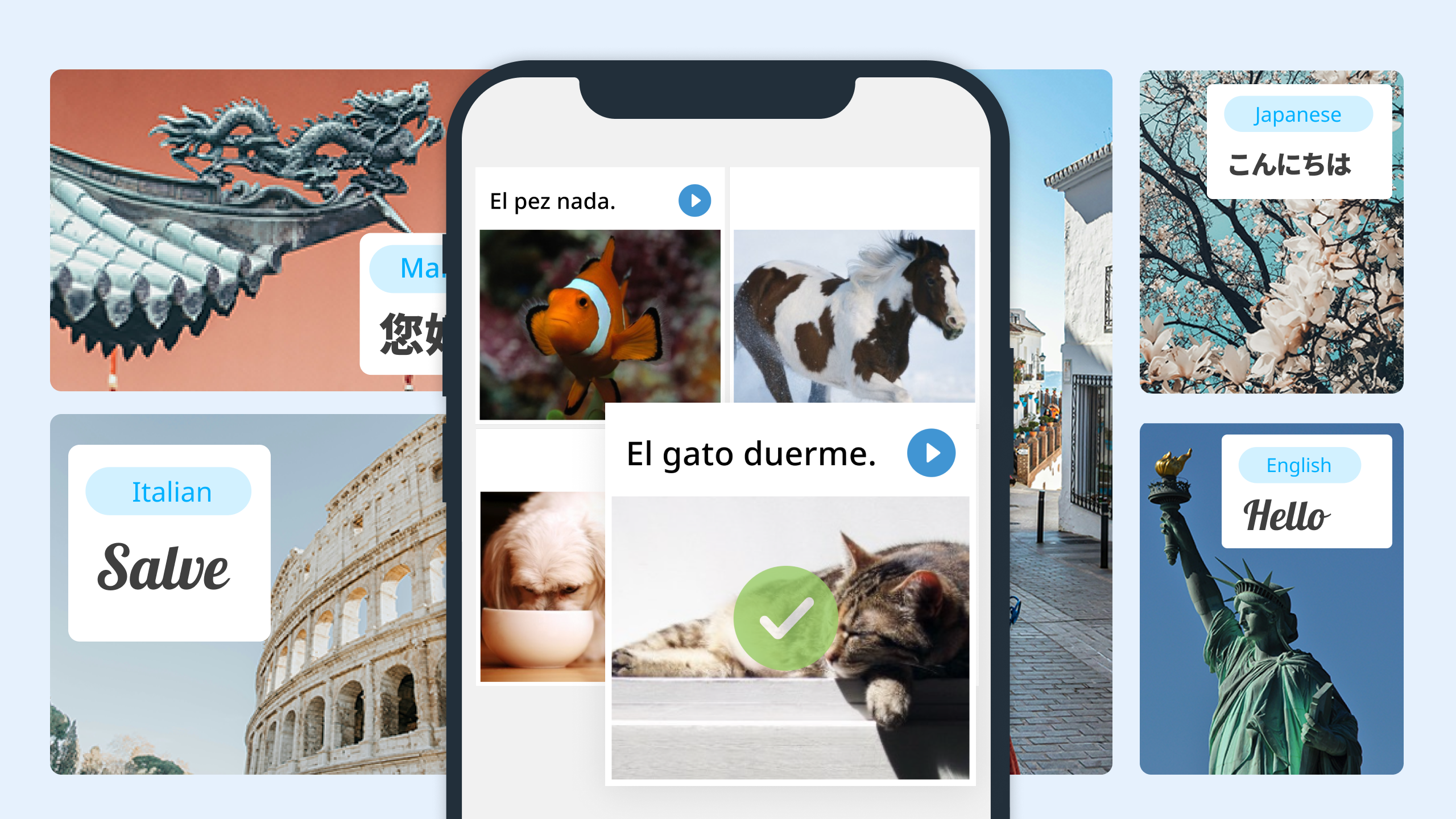graphic image of the Rosetta Stone interface matching pictures with words