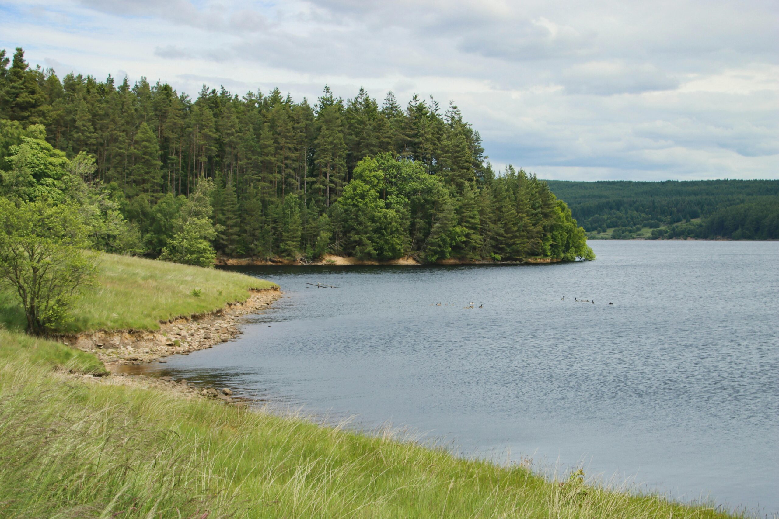 Kielder Water