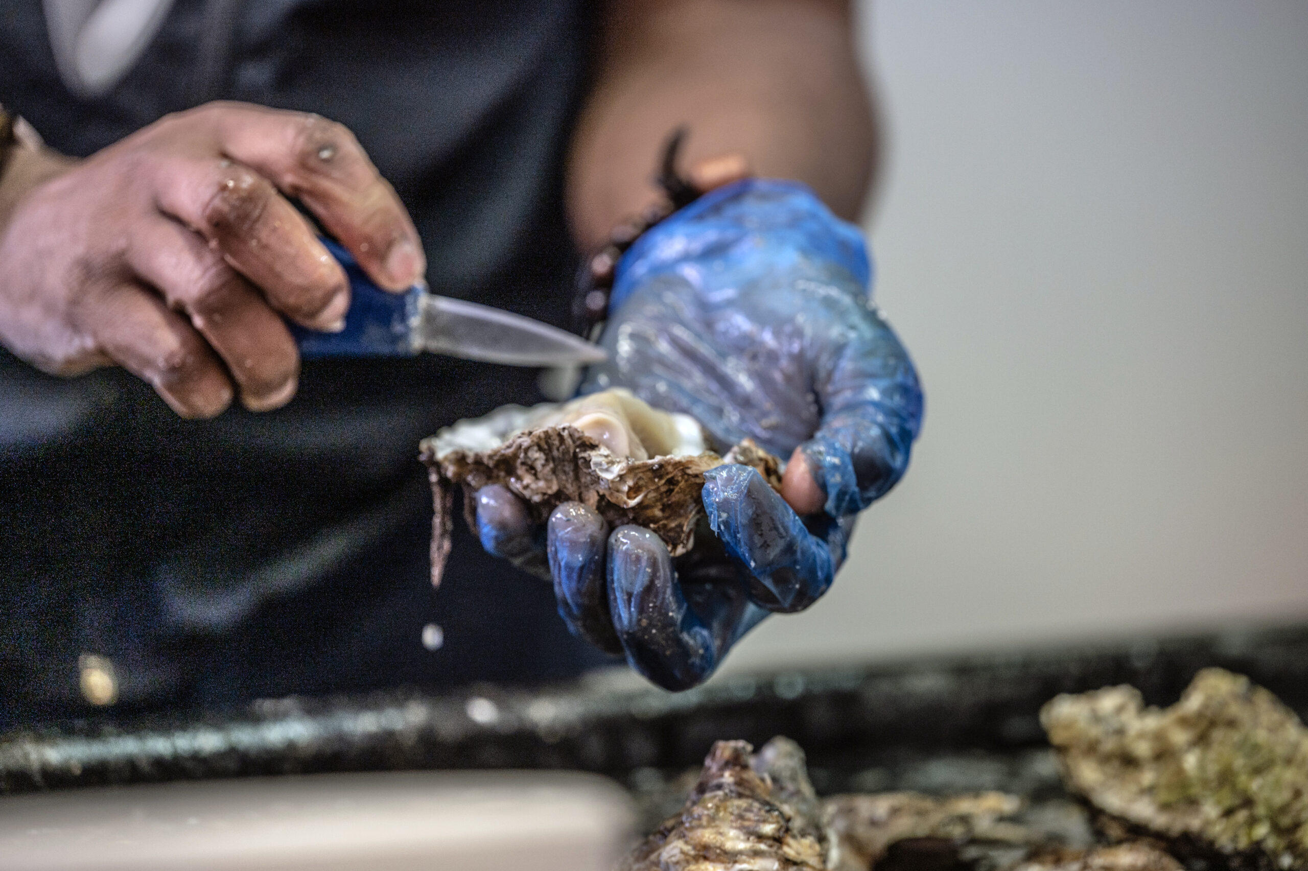 mans hands shucking an oyster