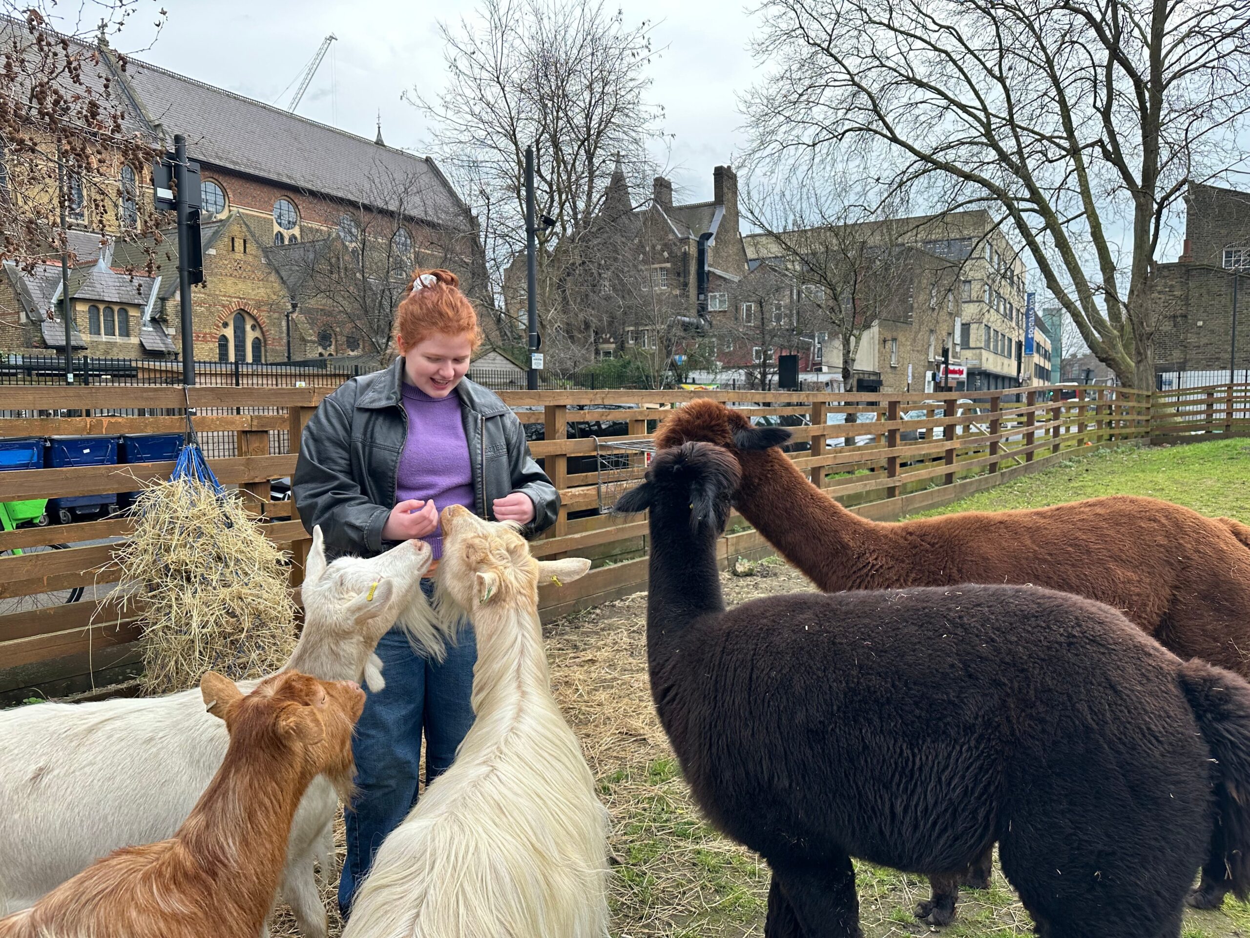 Vauxhall City Farm