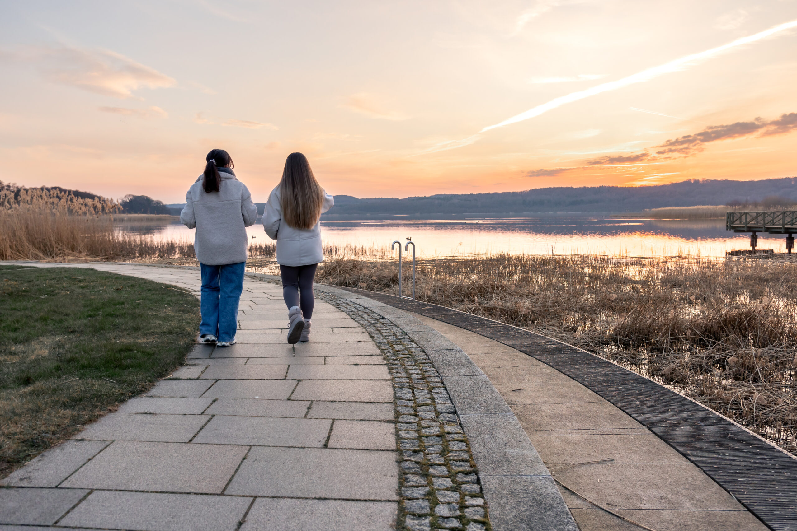 Friends walk in the evening