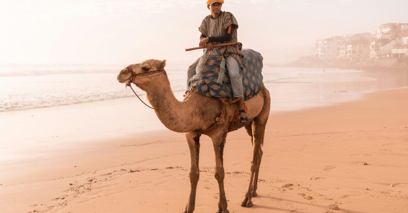 A man on a camel on Taghazout Bay beach in Morocco