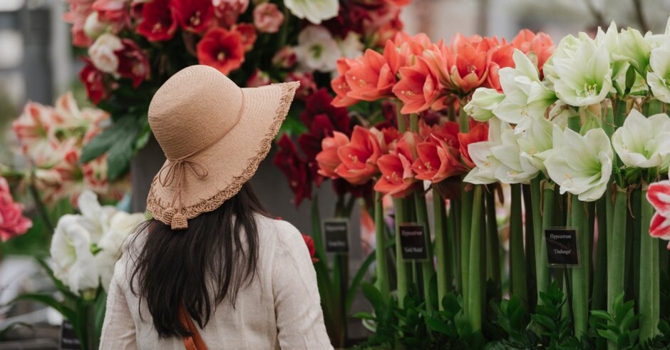 A female visitor pictured in the Great Pavilion at RHS Chelsea Flower Show 2019.