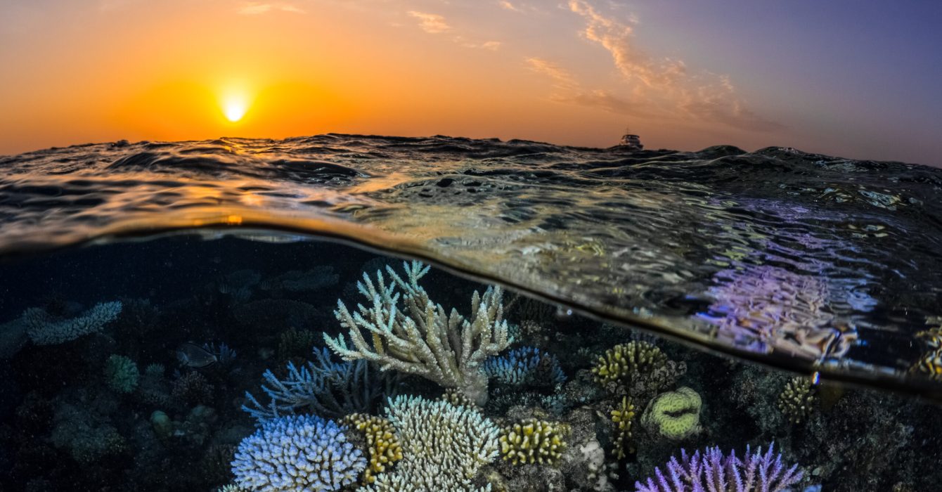 Below the waves at The Red Sea, a coral reef, and above the waves, a beautiful sunset.