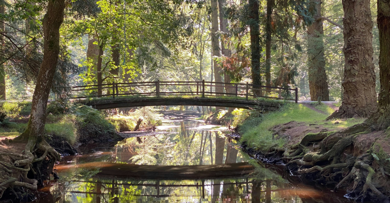 Feature images 2 (5)