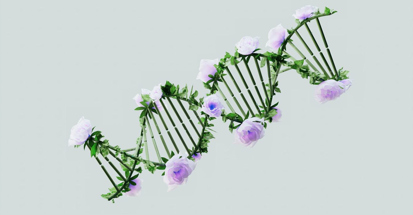 a DNA chain with leaves and lilac flowers on the edges