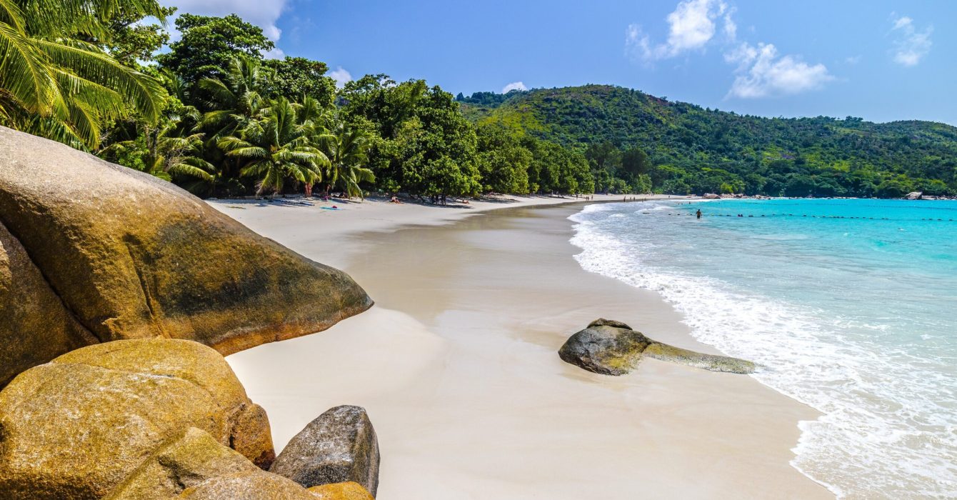 A beach surrounded by the sea and greenery under the sunlight and a blue sky in Praslin in Seychelles