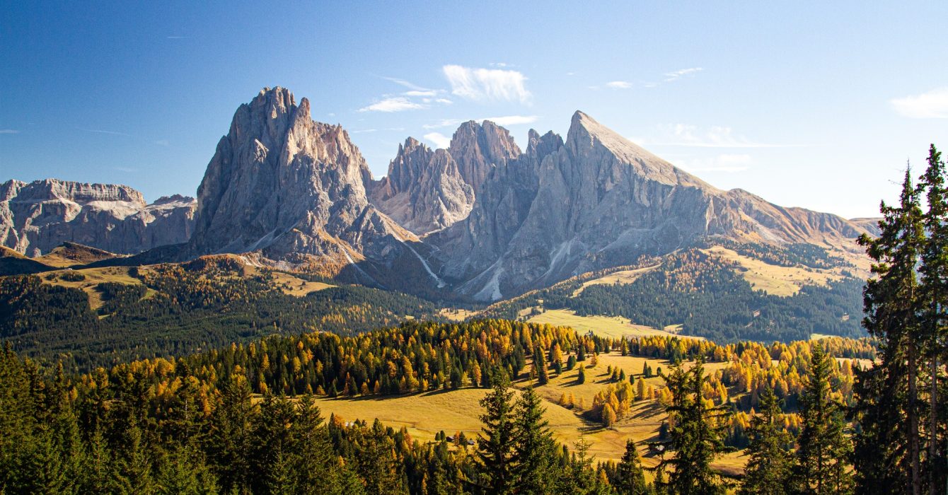 beautiful-shot-grassy-hills-covered-trees-near-mountains-dolomites-italy