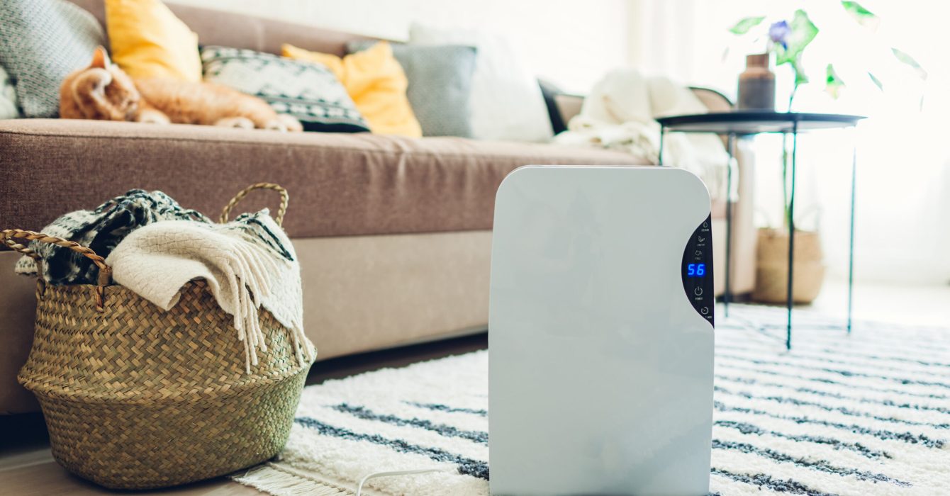 A dehumidifier in the background of a living room.