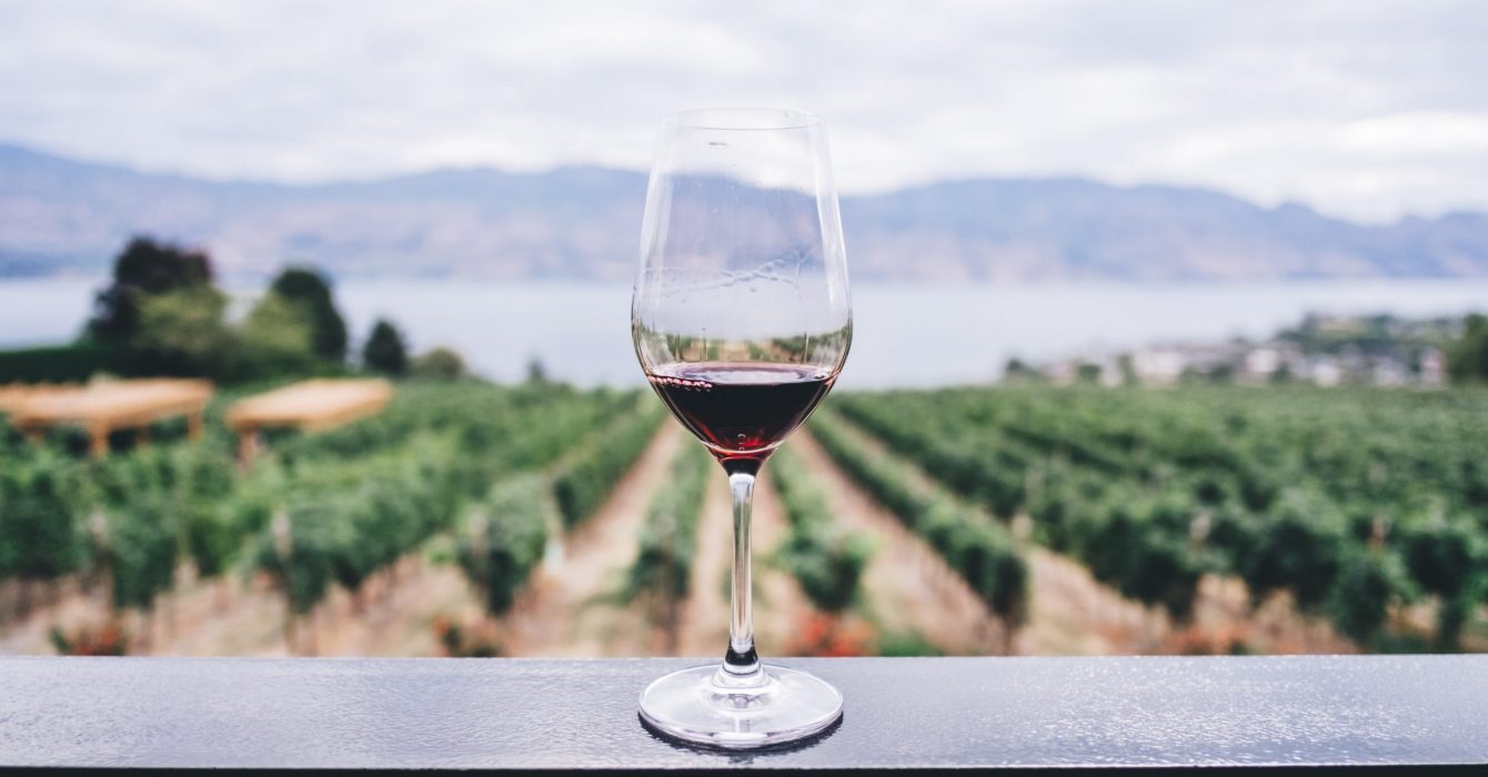 A glass of red wine against a backdrop of a green vineyard.