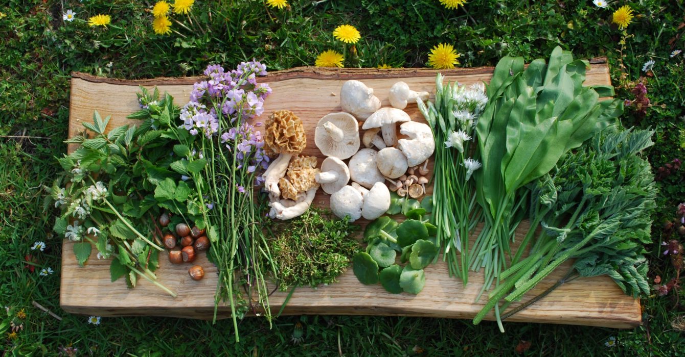 wild mushrooms on carved wood